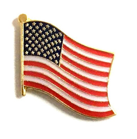 United States World Flag Lapel Pin  - Single