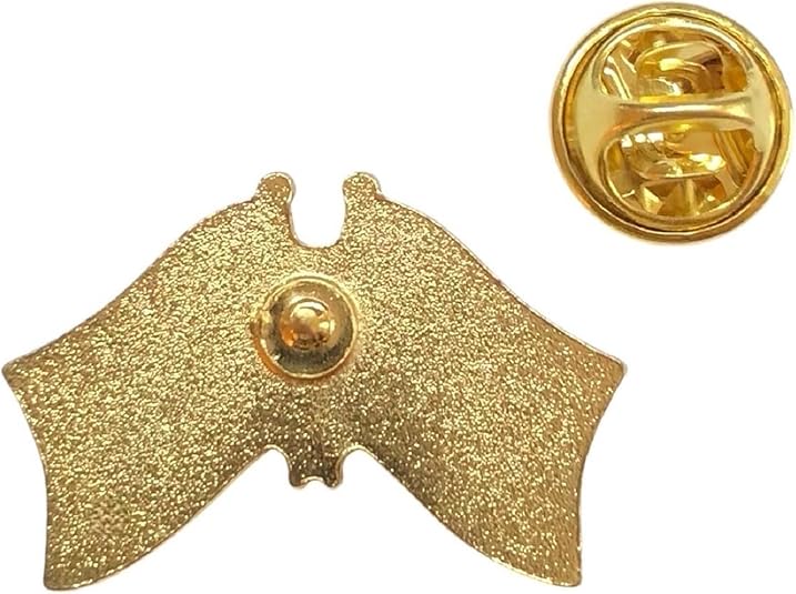 Double Lapel Pin Back View Clasp Removed