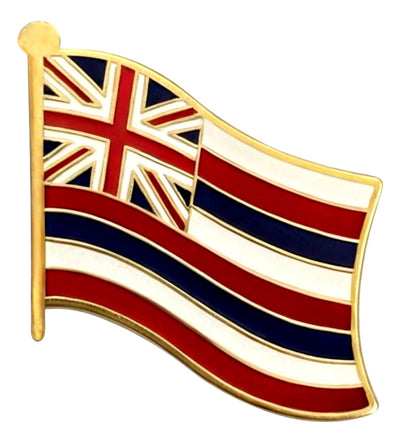 a Hawaii state flag pin