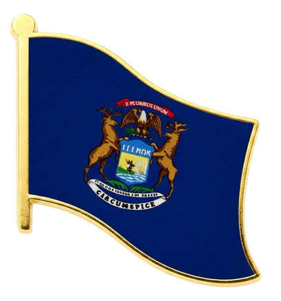 a state of Michigan flag pin