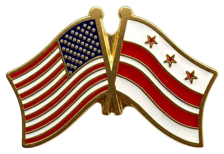 Washington D.C. Double Pin