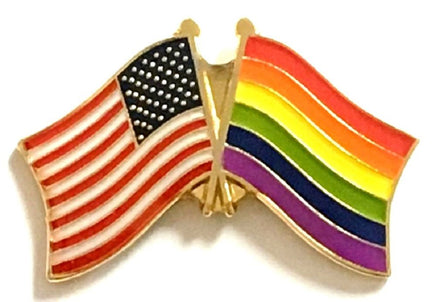 Rainbow Double Flag Pin